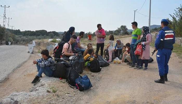 Ayvacık'ta 41 Kaçak Göçmen Yakalandı
