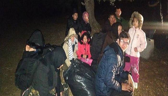 305 Kaçak Göçmen Yakalandı, 2 Organizatör Tutuklandı