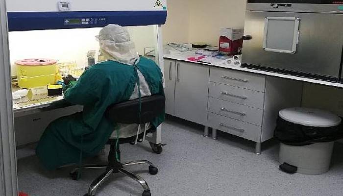 ÇOMÜ Tıbbi Mikrobiyoloji Laboratuvarı'nda, Günlük 380 Koronavirüs Testi Sonuçlanıyor