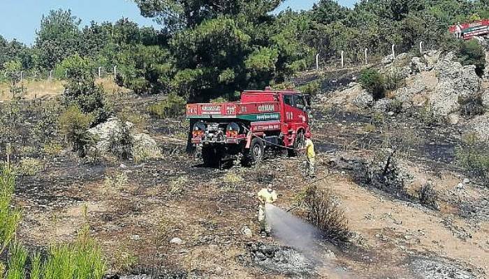 Ayvacık'ta, 3 Hektarlık Tarım Arazisi Yandı
