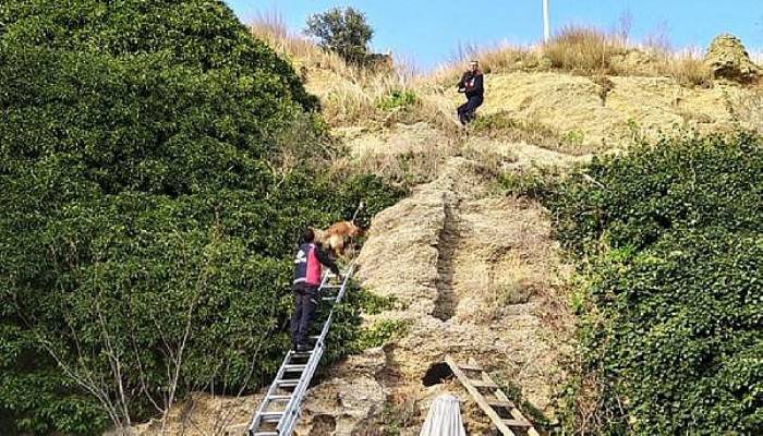 Kayalıklarda Mahsur Kalan Köpeği İtfaiye Kurtardı