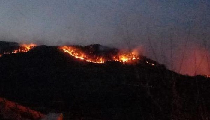 Bayramiç’teki Orman Yangını Devam Ediyor