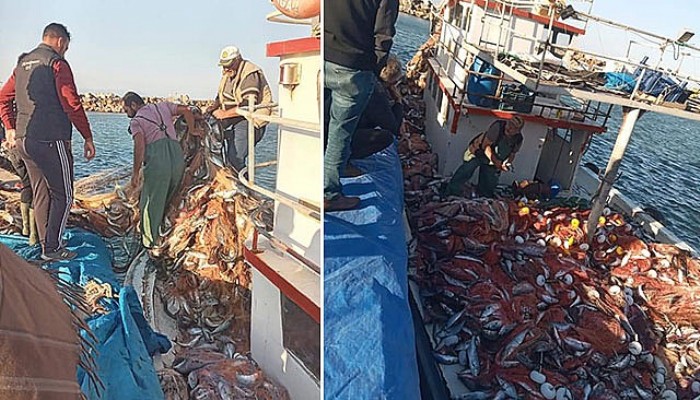 Çanakkaleli Balıkçı, 15 Bin Tane Lüfer Yakaladı