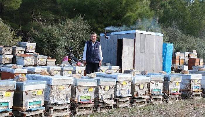 Barakada Kalıyor, Arılarla Yatıp Arılarla Kalkıyor