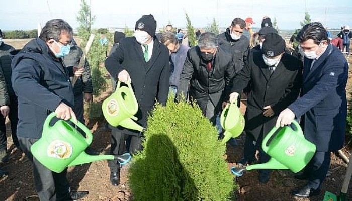 Çanakkale’de 43 Bin Fidan Toprakla Buluştu