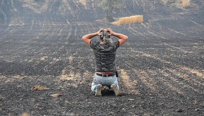Gelibolu'da Tarlaları Yanan Köylülerin Üzüntüsü