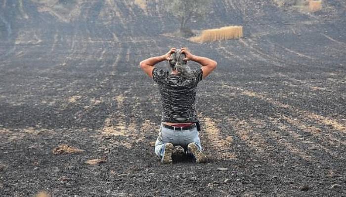 Gelibolu'da Tarlaları Yanan Köylülerin Üzüntüsü