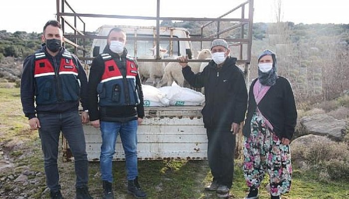 Ayvacık'ta 7 Koyunu Çalan 5 Şüpheli Yakalandı