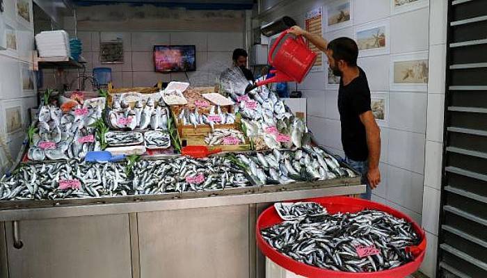 Çanakkale'de Av Sezonunun Başlamasıyla Balık Fiyatları Düştü
