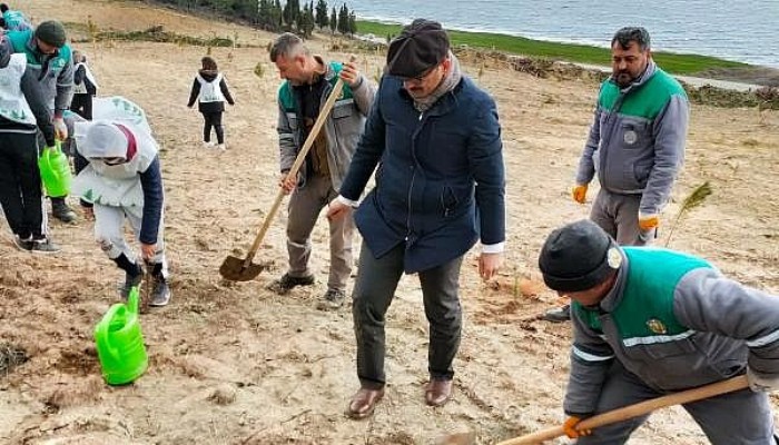 Gelibolu'da Öğrenciler, Dünya Ormancılık Günü'nde 100 Fidan Dikti