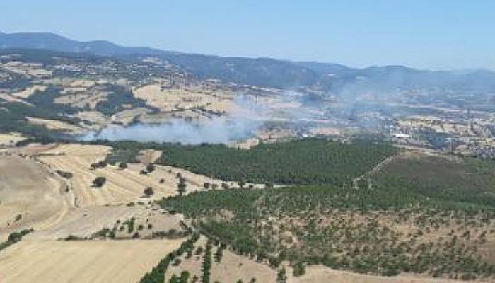 Çanakkale'de Orman Yangını Kontrol Altına Alındı 