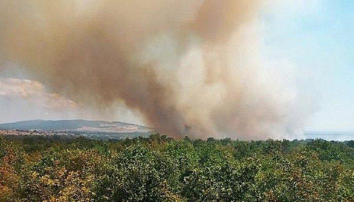 Gelibolu'da Orman Yangını; 20 Dönüm Alan Zarar Gördü