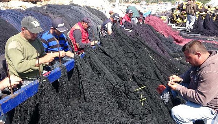 Balıkçılar Müsilaj Etkisiyle Umduğunu Bulamadan Sezonu Kapattı