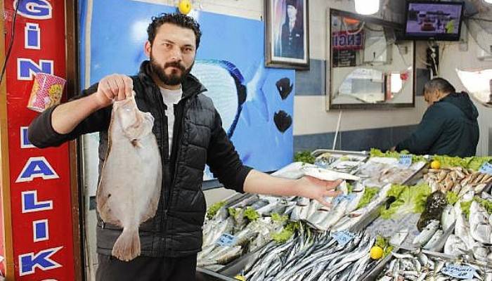 Çanakkale’de, Av Yasağı Sonrası Balık Fiyatları Aynı