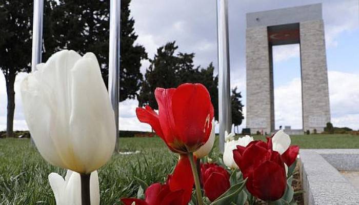 Çanakkale Şehitlikleri, Kırmızı Beyaz Lalelerle Donatıldı