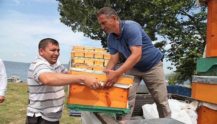 Üreticilere Arılı Kovan Dağıtımına Başlandı