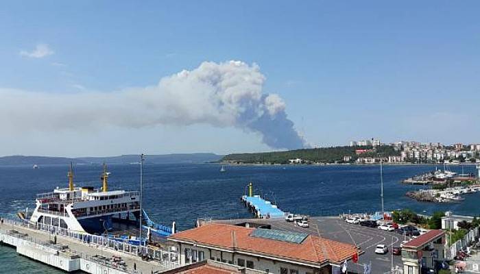 Çanakkale'de Orman Yangını 