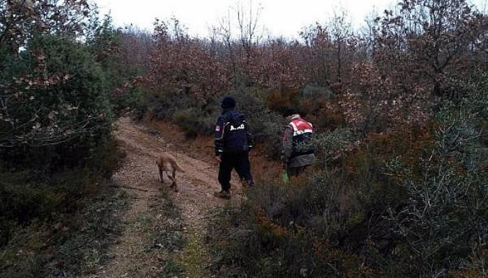 Mantar Toplamak İçin Evden Çıkıp Kaybolan Kadın Bulundu