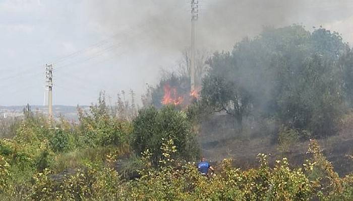 Mahallede Yangın Paniği