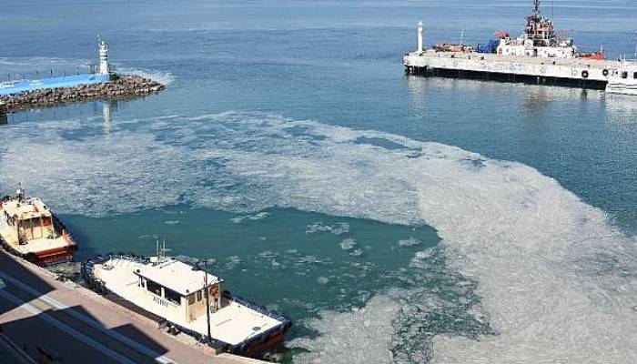 Çanakkale Boğazı’nda 'Müsilaj' Kabusu Devam Ediyor