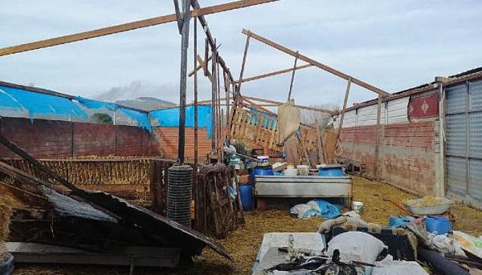 Biga'da Hayvan Çiftliğinin Çatısı Uçtu
