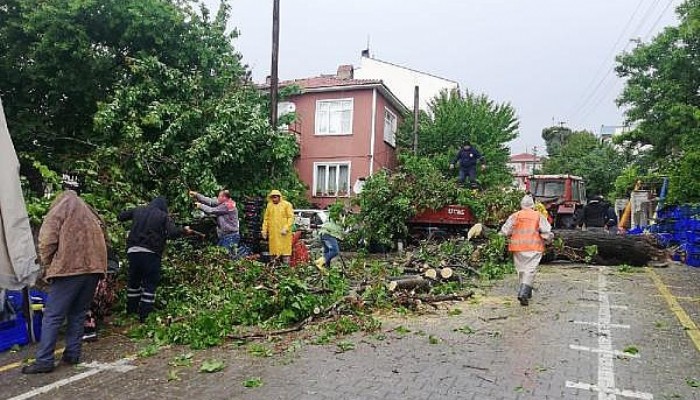 Ayvacık'ta Sağanak ve Fırtına Çatıları Uçurdu, Ağaçları Devirdi