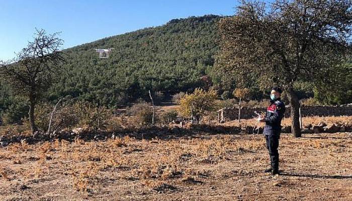 Ailesiyle Yazlığına Gelen Tıp Öğrencisi Kayboldu, Ekipler Arama Başlattı