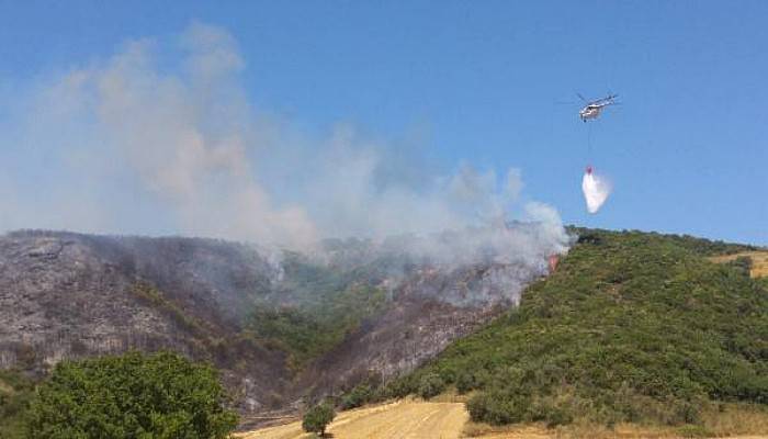 Gelibolu'daki Orman Yangını Kontrol Altına Alındı 