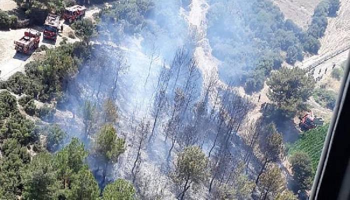Bayramiç'teki Orman Yangını Kontrol Altına Alındı