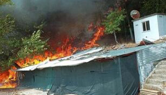 Ayvacık'ta Orman Yangını 