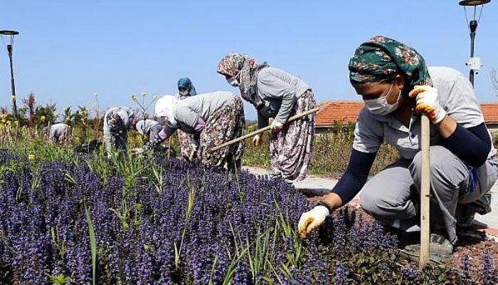 Tam kapanmanın İlk Gününde Kadın İşçiler, Çapa Yapıp, Otları Temizledi