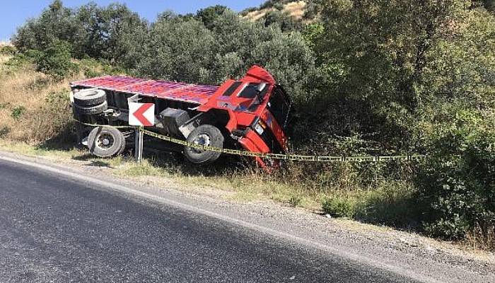 Ayvacık'ta Odun Yüklü Kamyon Şarampole Devrildi