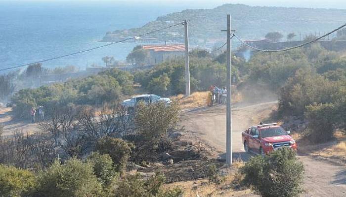 Ayvacık'taki Yangında 20 Dönüm Makilik Alan Zarar Gördü