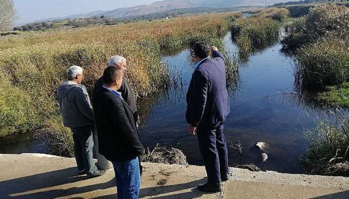 Çaydaki Balık Ölümleri Köylüleri Tedirgin Etti