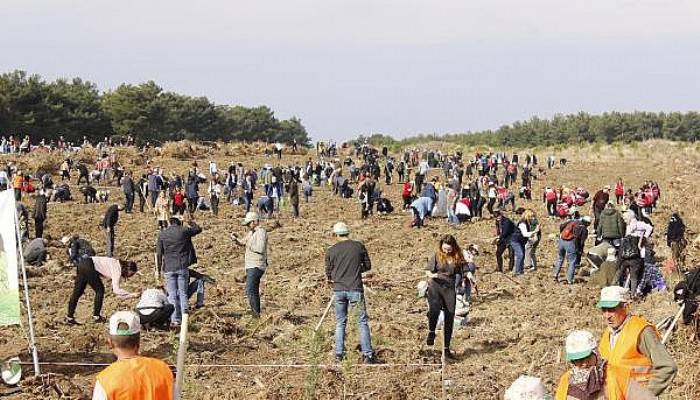 Çanakkale'de 205 Bin Fidan Toprakla Buluşturuldu