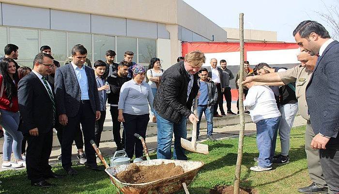 Orman Haftasında Fidan Diktiler 