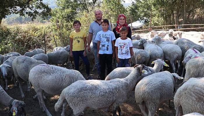 Her Gün 90 Koyunu Elleriyle Sağan Çift, Ayda 15 Bin TL Kazanıyor