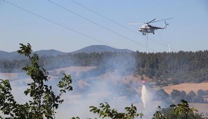 Tarım Arazisinde Çıkan Yangın Makiye Sıçradı, Alevler Gölete Gelince Durdu